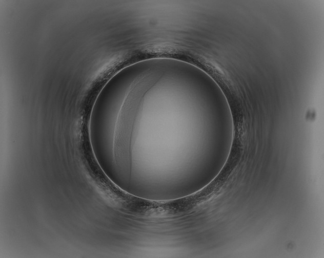 X0000091580735200708201207