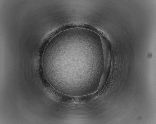 X0000091580736200708201207
