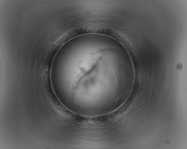 X0000091580737200708201207