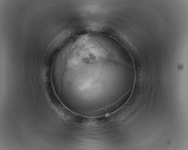 X0000091580738200708201207