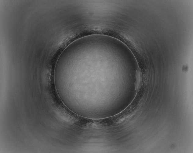 X0000091580739200708201207