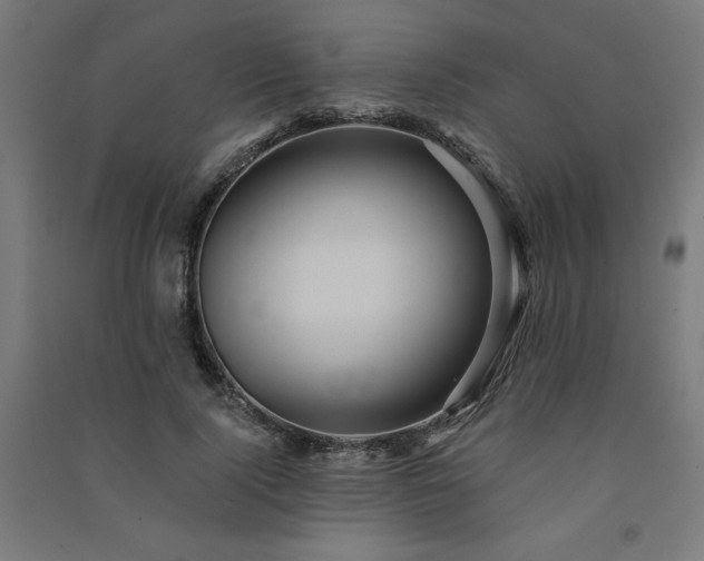 X0000091580740200708201207