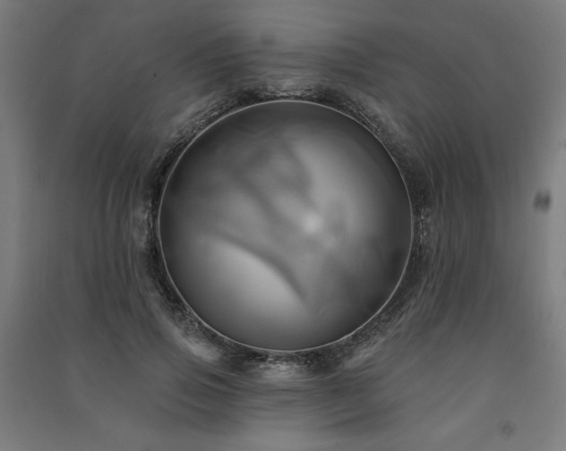 X0000091580741200708201207