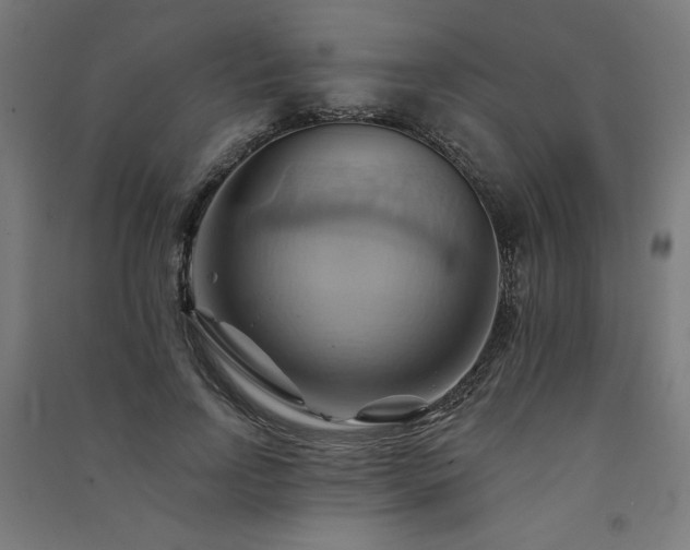X0000091580742200708201207