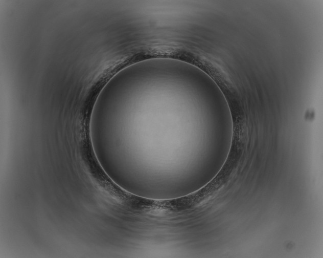 X0000091580743200708201207