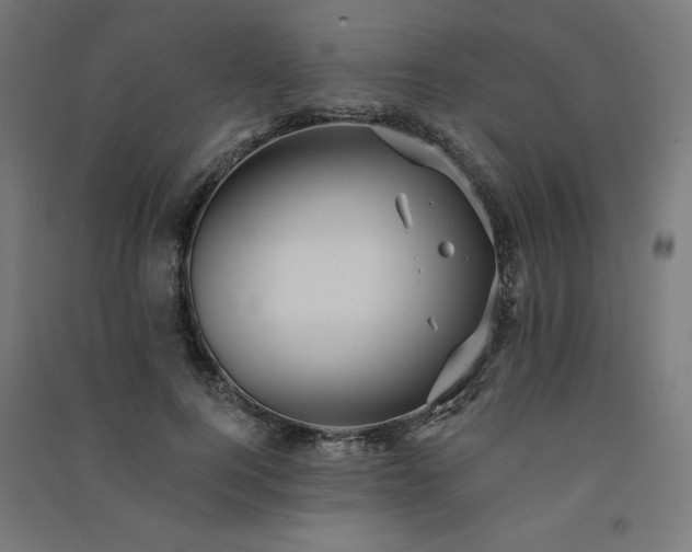 X0000091580744200708201207