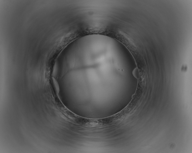 X0000091580745200708201207