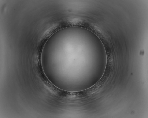 X0000091580746200708201207