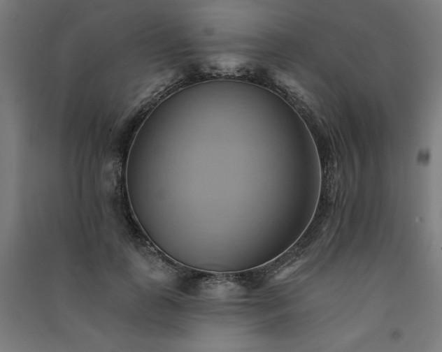 X0000091580747200708201207