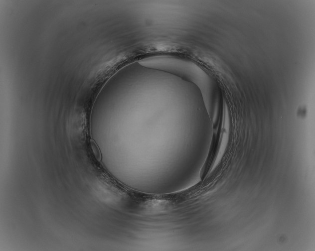 X0000091580748200708201207