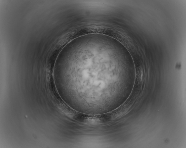X0000091580749200708201207