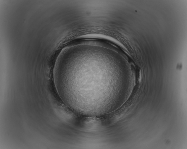 X0000091580750200708201207