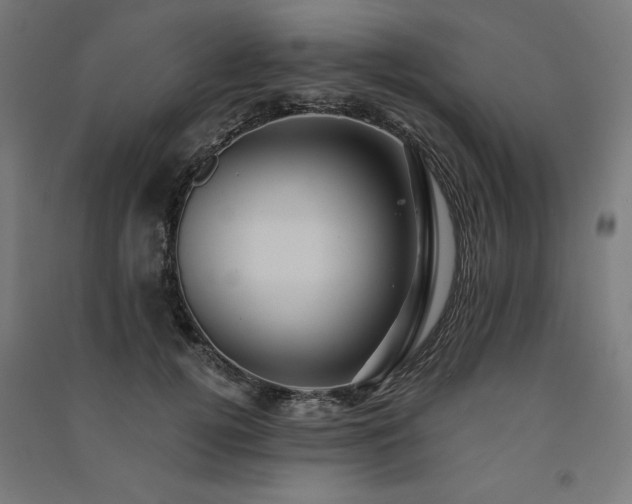 X0000091580752200708201207