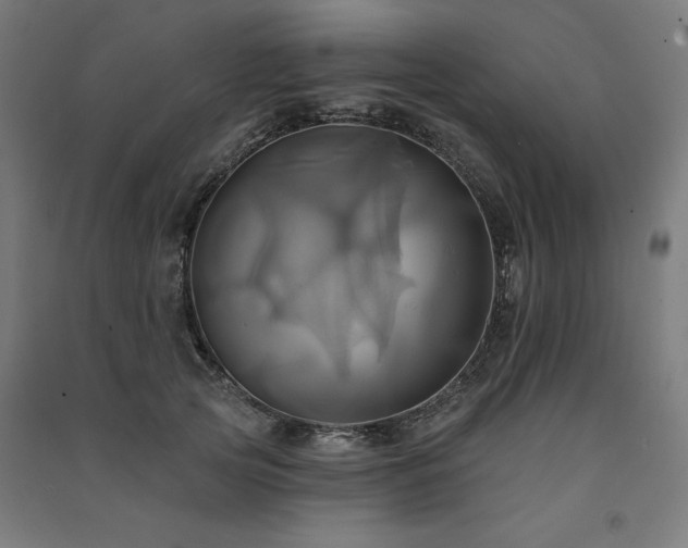 X0000091580753200708201207
