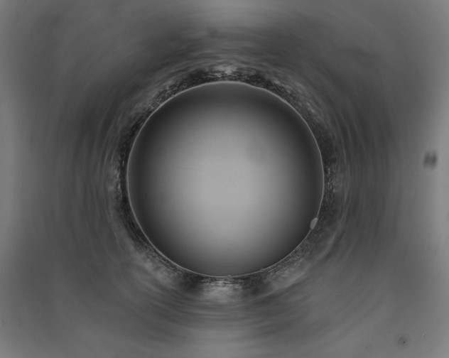 X0000091580754200708201207