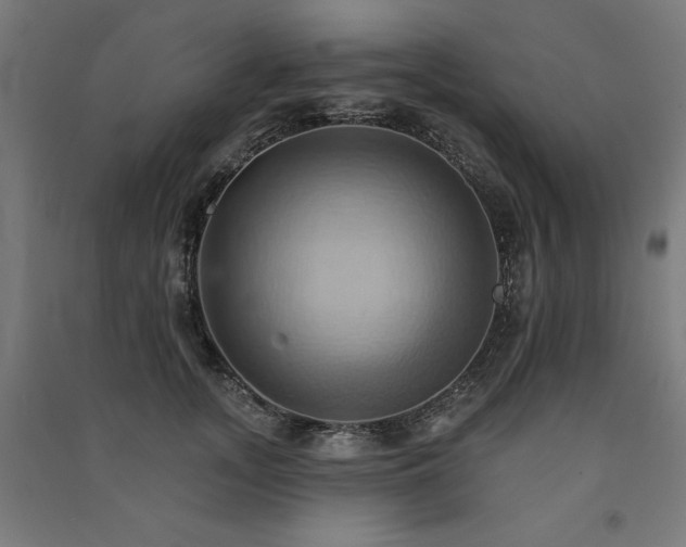 X0000091580755200708201207