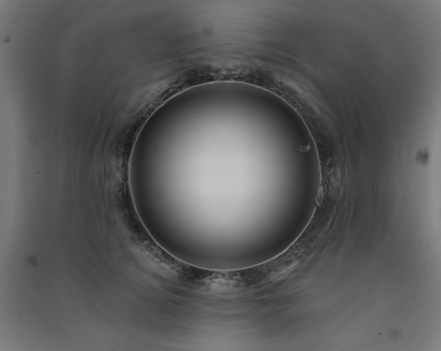 X0000091580756200708201207