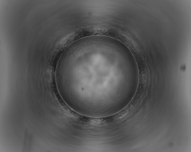X0000091580757200708201207