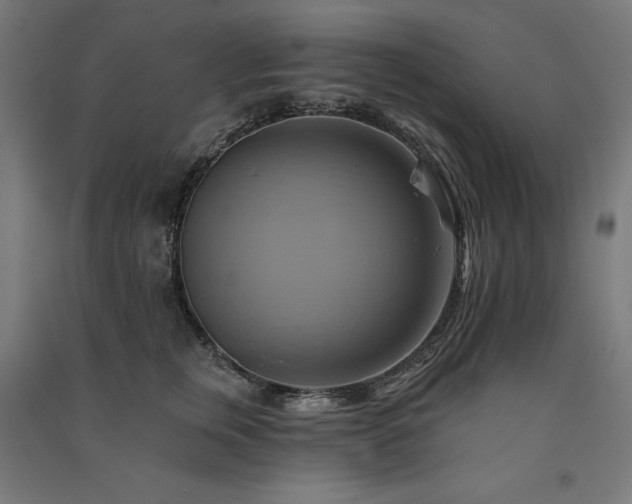 X0000091580759200708201207