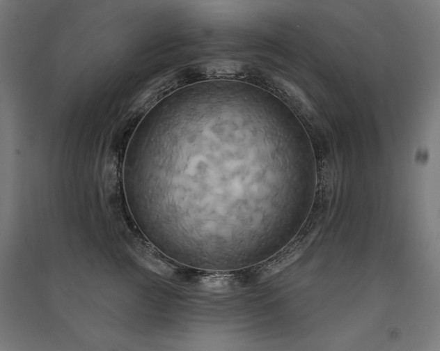 X0000091580761200708201207