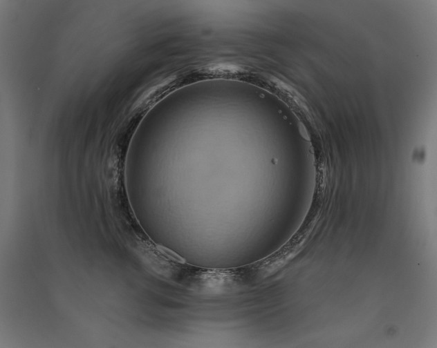 X0000091580762200708201207