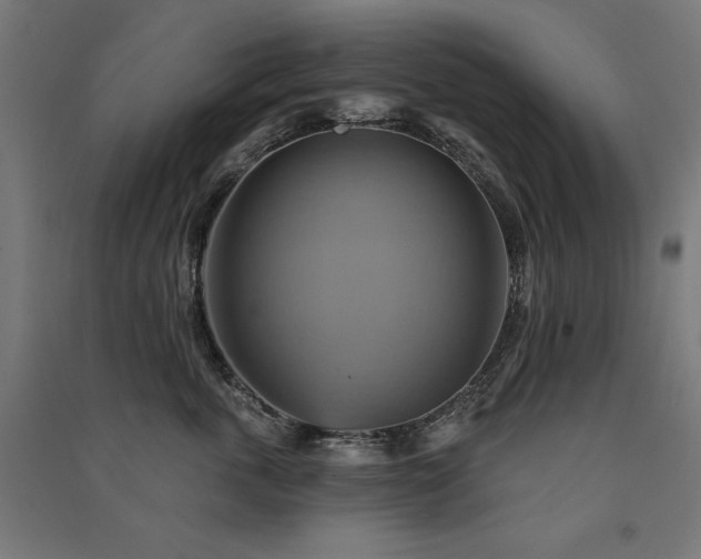 X0000091580763200708201207