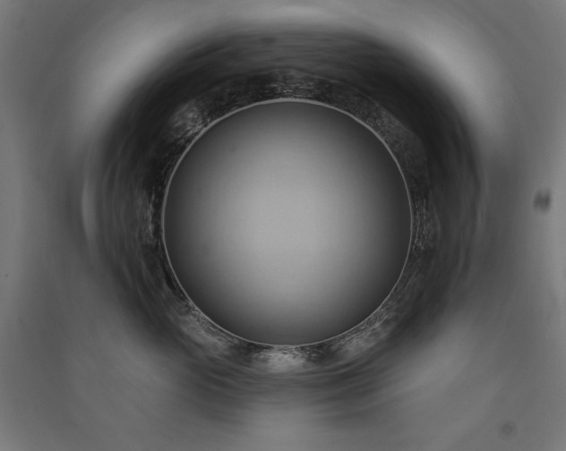 X0000091580765200708201207
