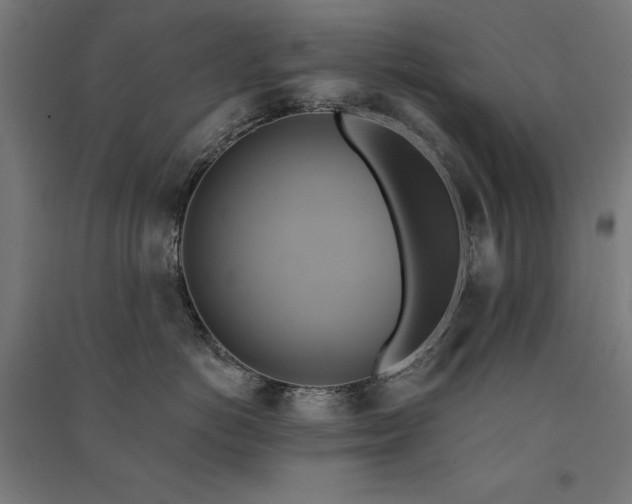 X0000091580766200708201207