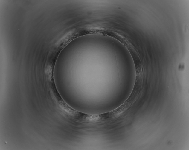X0000091580767200708201207