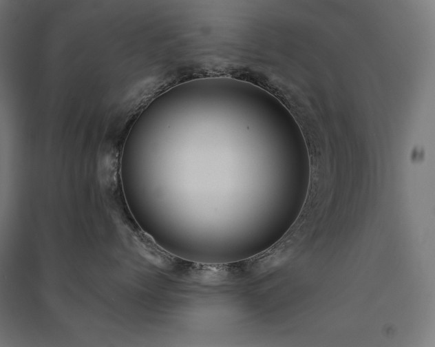 X0000091580768200708201207