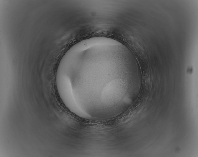 X0000091580769200708201207