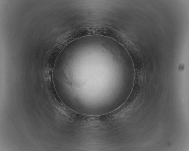 X0000091580770200708201207