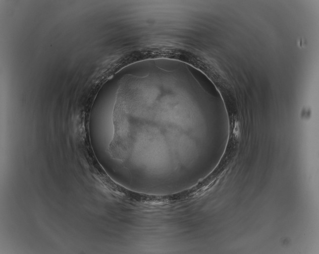 X0000091580771200708201207
