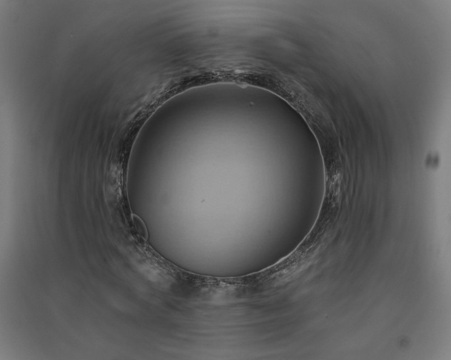 X0000091580772200708201207