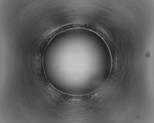 X0000091580773200708201207