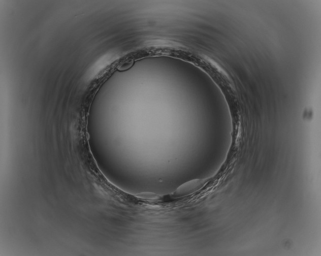 X0000091580775200708201207