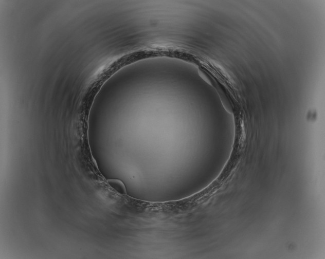 X0000091580776200708201207