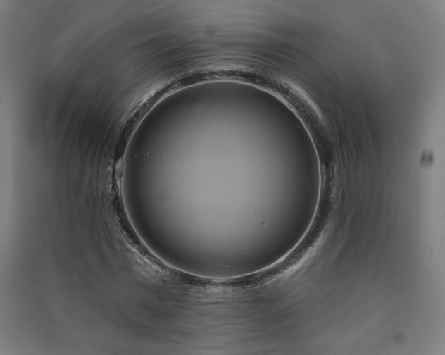 X0000091580777200708201207