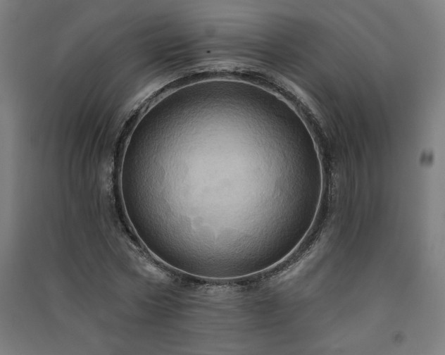 X0000091580778200708201207