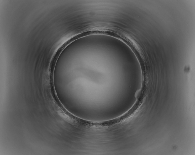 X0000091580779200708201207