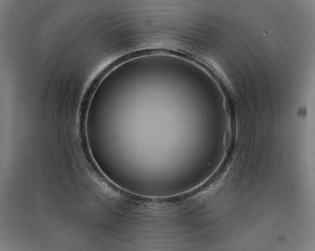 X0000091580780200708201207