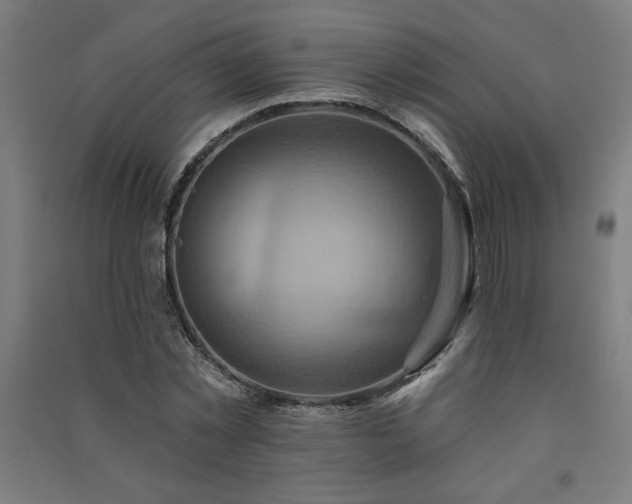 X0000091580781200708201207