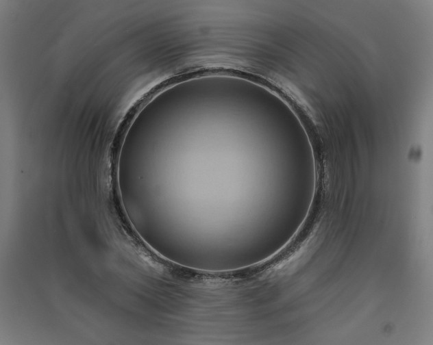 X0000091580782200708201207