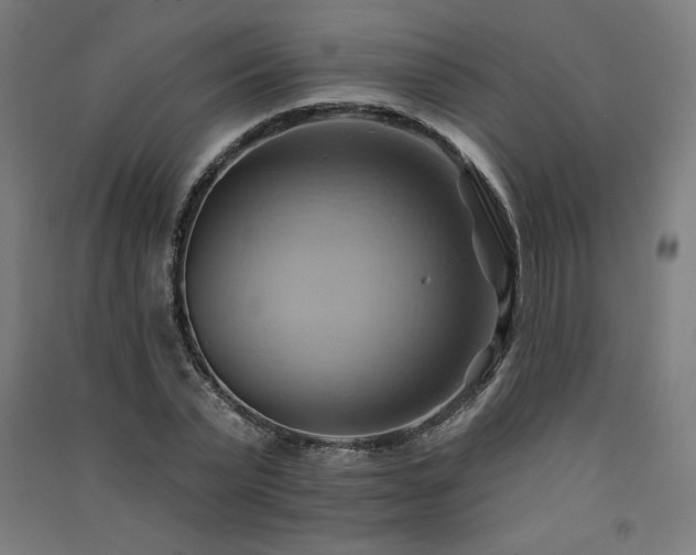 X0000091580783200708201207
