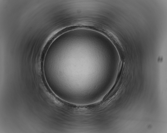 X0000091580784200708201207