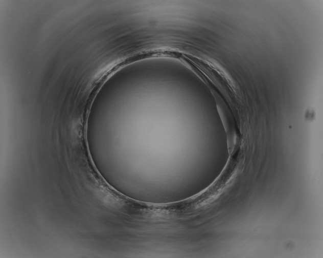 X0000091580785200708201207