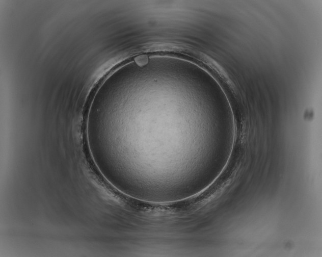X0000091580786200708201206