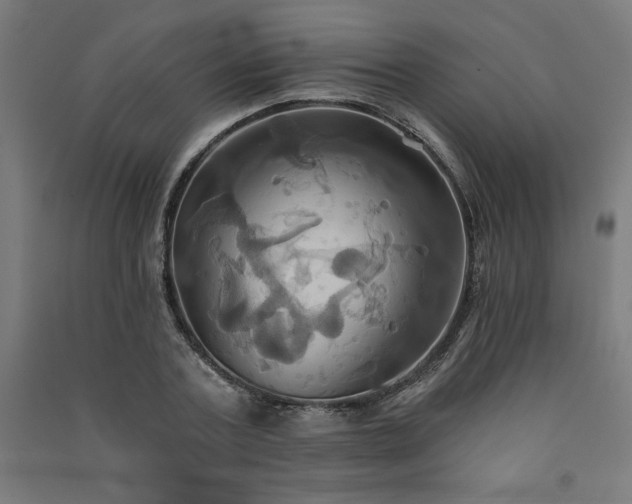 X0000091580787200708201206