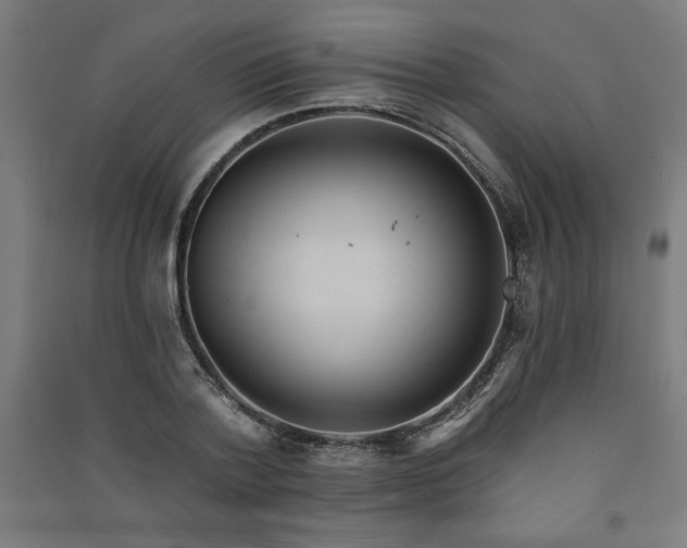X0000091580788200708201206