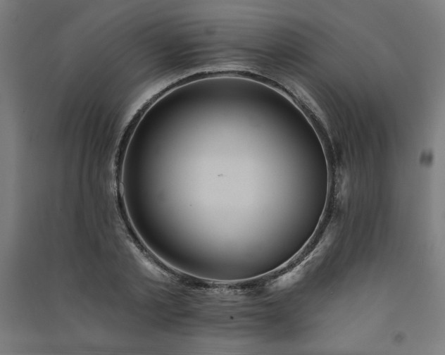 X0000091580789200708201206